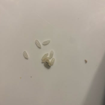 Migros Pirinç Paketinden Çıkan Şok: Macun!