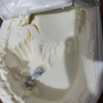 Torku Labne'de Küflü Parça Ve Tad Değişikliği