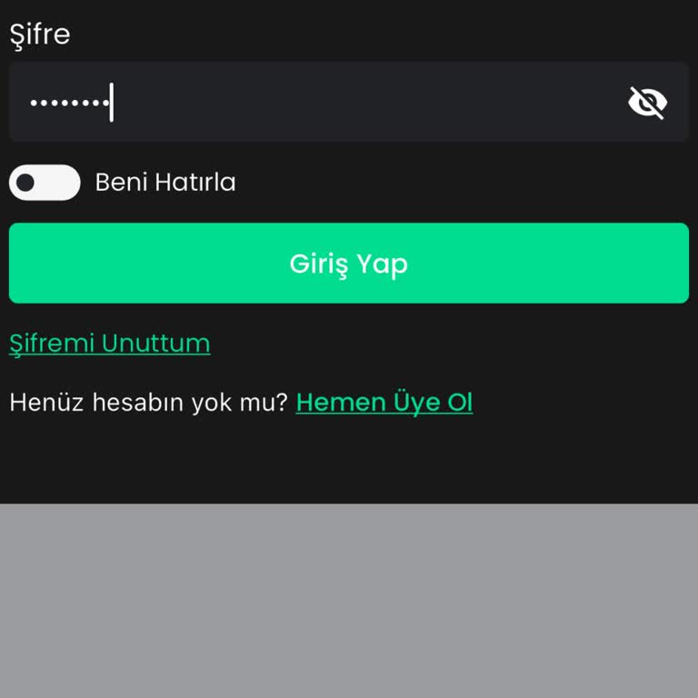 Hesap Erişimi Ve Müşteri Hizmetleri Sorunu