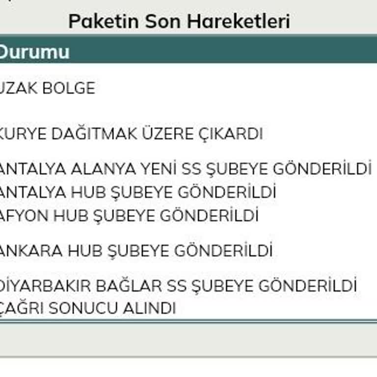 UPS Kargo Teslimat Sorunu