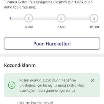 ING Kredi İadesi Gecikmesi Mağduriyeti