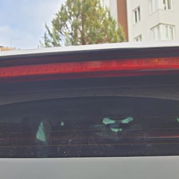 Skoda Scala'da Malzeme Kusuru Ve Yetersiz Servis Desteği