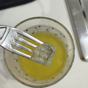 Cappy Meyve Suyunda Tekrarlayan Küf Sorunu