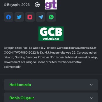 Kazanç Sonrası Hesap Kısıtlaması Şoku