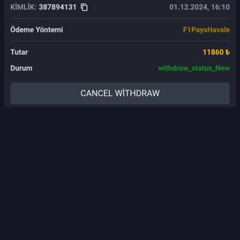 Kazancım Sebepsiz Yere Silindi
