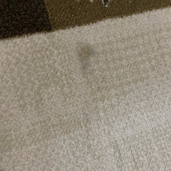 Halı Yıkama Hizmetinde Hayal Kırıklığı