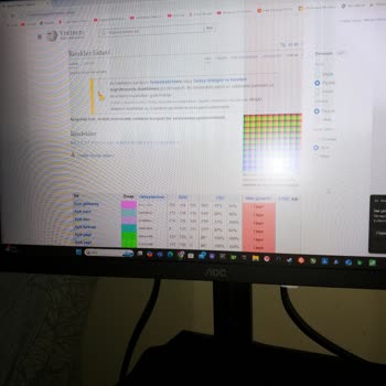 Bozuk Monitör Ve Yetersiz Teknik Destek