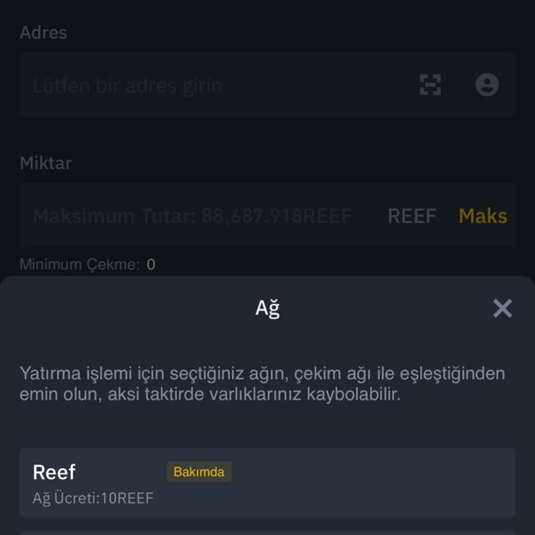 Binance TR'de Delist Edilen Reef Coin Çekim Sorunu