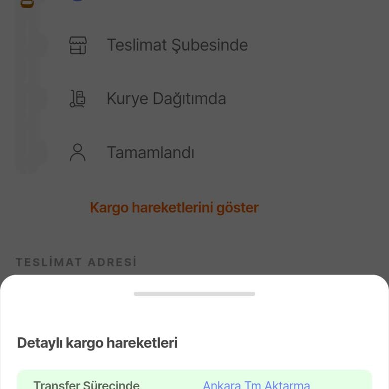 Kayıp Kargo: 5 Gündür Hareketsiz!