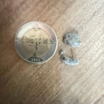 Konserve İçinden Çıkan Tehlike: Çimento Molozu