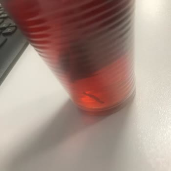 Bitki Çayında Şok Edici Kurt Problemi