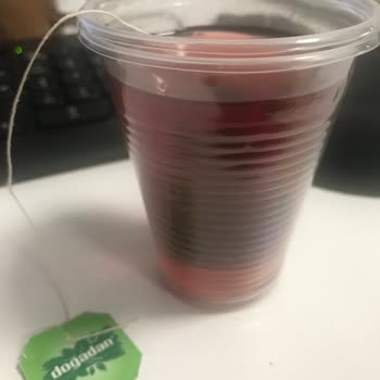 Bitki Çayında Şok Edici Kurt Problemi