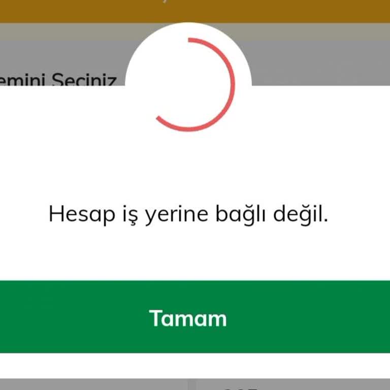 Ödeme Sorunu: Hesap Bağlantısı Hatası