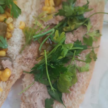 Experiencia decepcionante en Subway, sándwich de atún de baja calidad