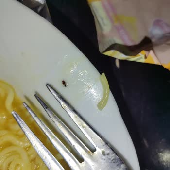 İndomie Noodle'da Böcek Şoku: Güven Sarsıldı