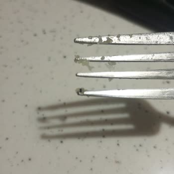 Peysan Peynir Tatlısında İstenmeyen Sürpriz