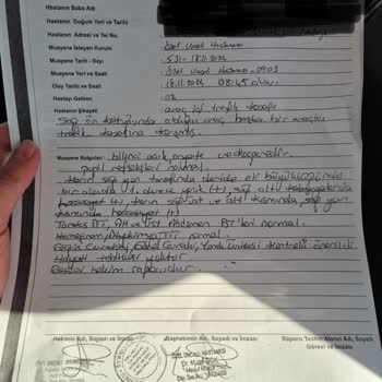 Citroen C3 Airbag Yanığı: Güvenlik Endişesi