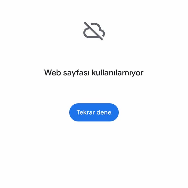 Web Sitesi Erişim Sorunu