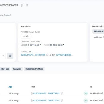 Web3 Cüzdanında Sahte Coin Satışı