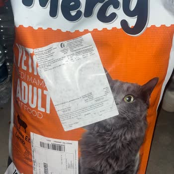 Özensiz Paketleme Yüzünden Kediler Aç Kaldı