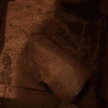 Wefood Siparişimdeki Kırık Tahin Ve İletişim Sorunları