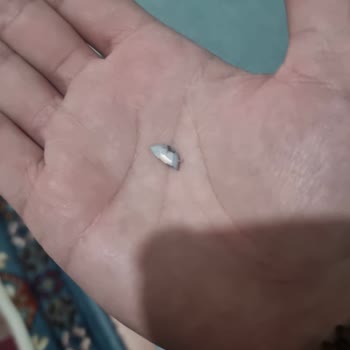 Kırık Ütü Ve İade Sorunu