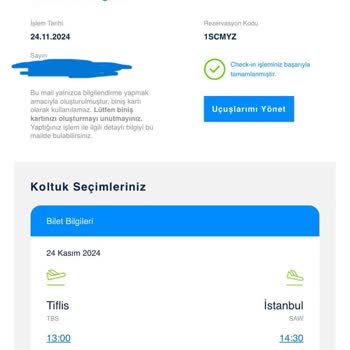 Uçuş İptali Ve Rötarlarla Dolup Taşan Tiflis Seyahati