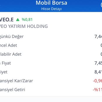 Yanlış Hisse Bakiyesi Ve Yetersiz Destek