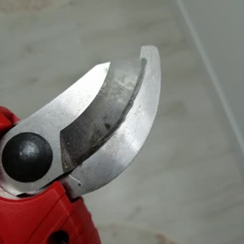 Einhell Budama Makası: İlk Kullanımda Hayal Kırıklığı