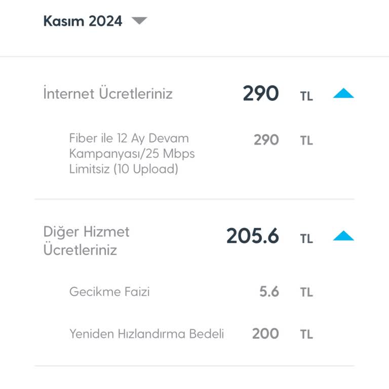 Yeniden Hızlandırma Ücreti Sürprizi