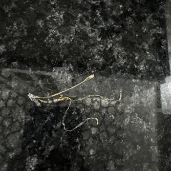 Dana Kıymada Plastik Parçalar: Sağlık Tehlikesi