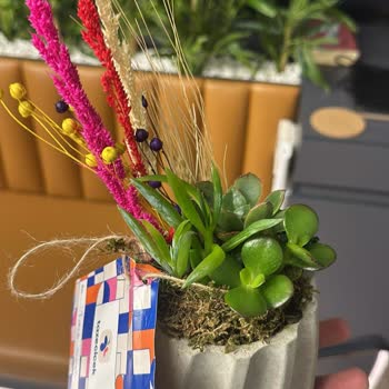 Tazecicek.com Teslimat Sorunu Ve Yanlış Çiçek Seçimi