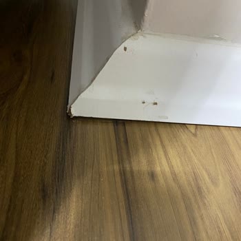 Anahtar Teslim Ev Tadilatında Yaşanan Sorunlar