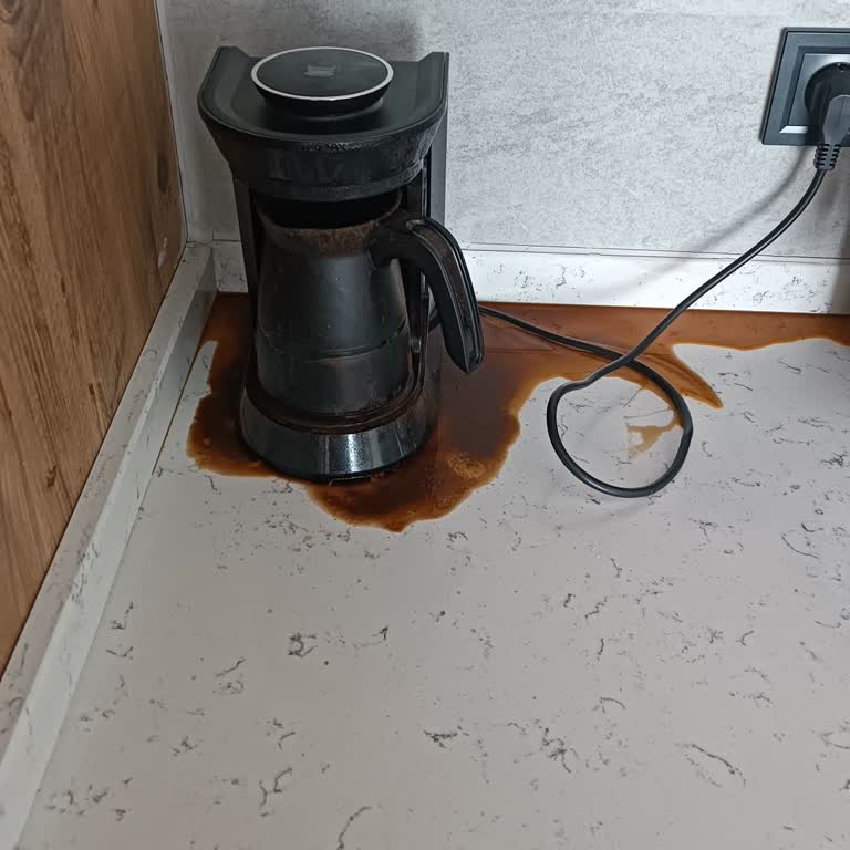 Arnica Kahve Makinesi: Taşırma Ve Düğme Sorunları