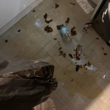 Yırtık Poşetler Yüzünden Kırılan Şişeler Ve Komik Cevaplar