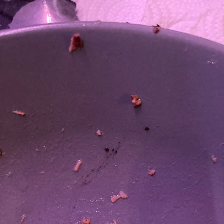 Ton Balığında Şaşırtan Siyah Parçalar