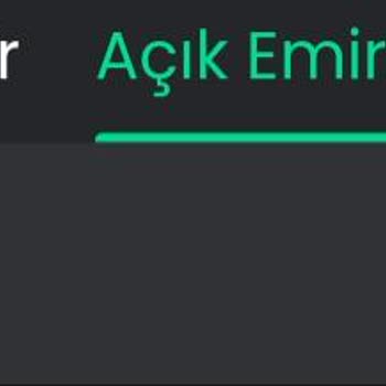 Bitay Coin'de Bekleyen Bakiyem Ve Çözüm Eksikliği