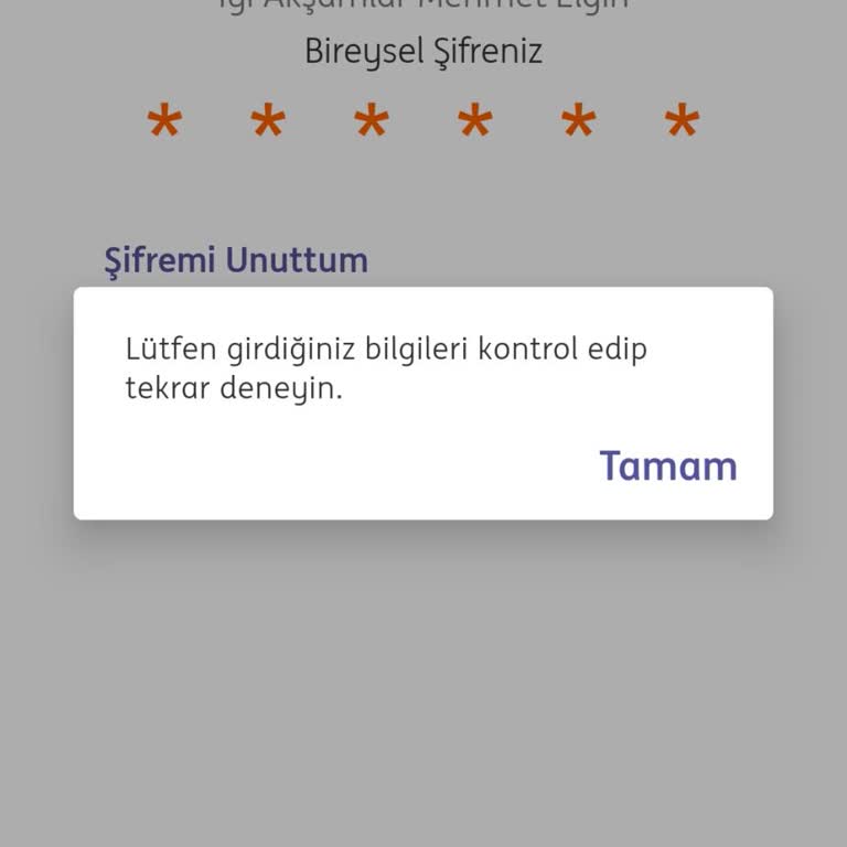 Hesap Erişimi Ve Şube Sorunu