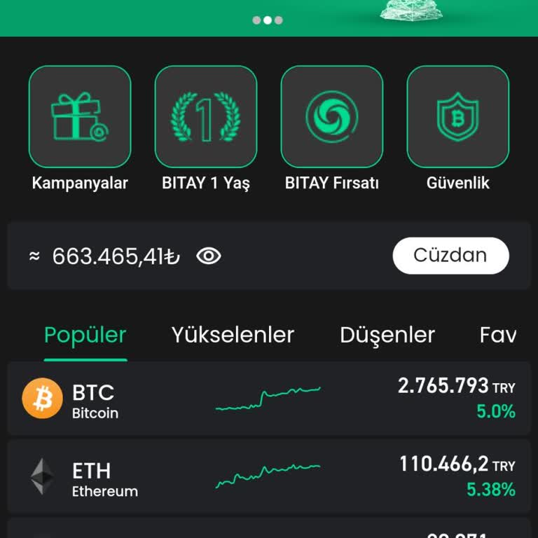 Doge Coin Transferi Ve İletişim Sorunları
