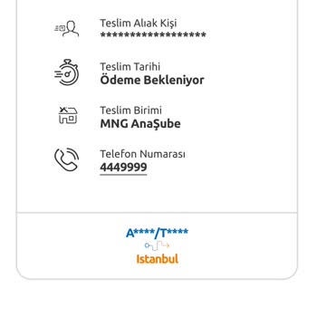 Güvenlik Sorunu