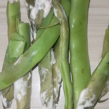 Bosch Buzdolabında Sürekli Su Problemi Ve Çözüm Eksikliği