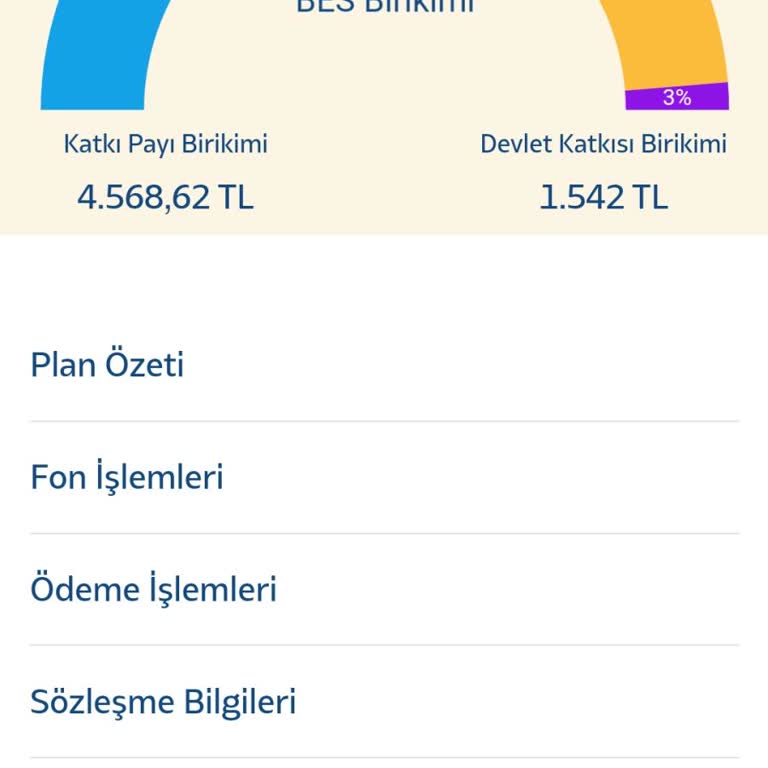 Katılım Emeklilik Enflasyon Karşısında Eriyen BES Yatırımı!