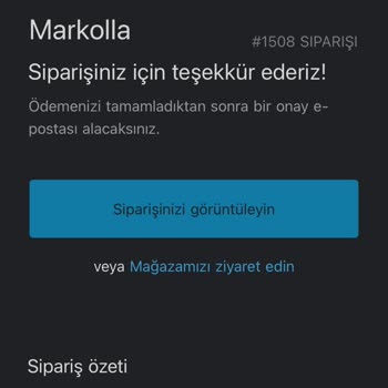 Kayıp Gömlekler Ve İletişim Sorunları