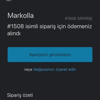 Kayıp Gömlekler Ve İletişim Sorunları