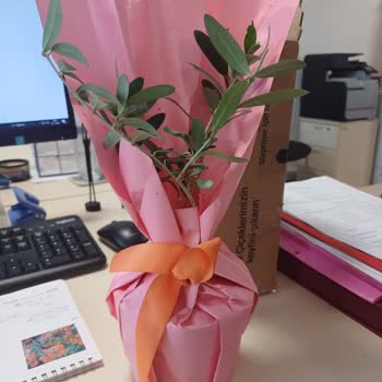 Çiçek Siparişinde Hayal Kırıklığı Ve İletişim Sorunları