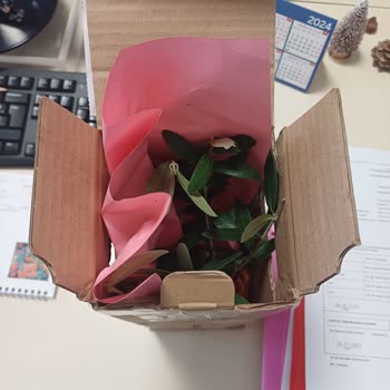 Çiçek Siparişinde Hayal Kırıklığı Ve İletişim Sorunları