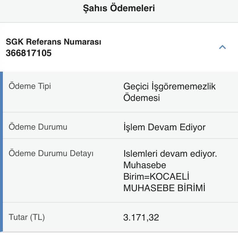 Geçici İşgörememezlik Ödemesi Gecikmesi Hakkında Bilgi Talebi