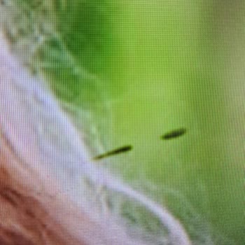 Arçelik Servisinin Bitmeyen Sorunları Ve Samsung TV Mağduriyeti