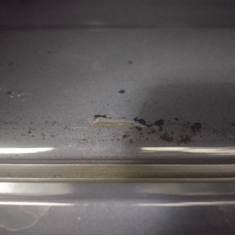 Beko Ankastre Fırında Renk Atma Sorunu Ve Müşteri Hizmetleri Ücreti