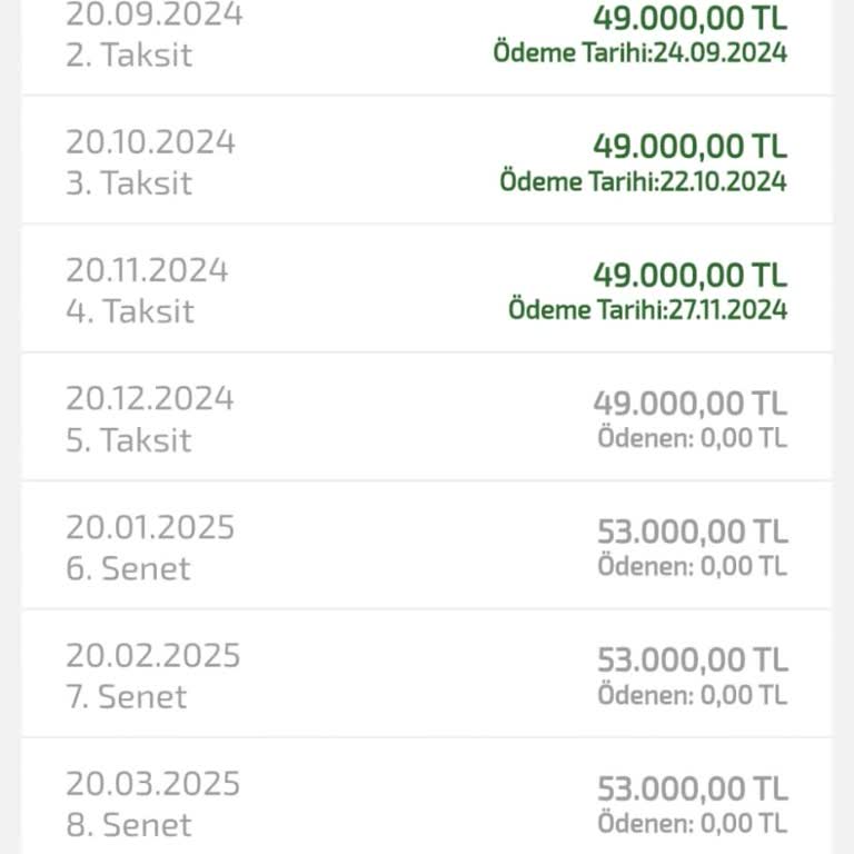 Katılımevim'de Araç Alım Sürecinde Yaşanan Zorluklar Ve Ekstra Maliyetler